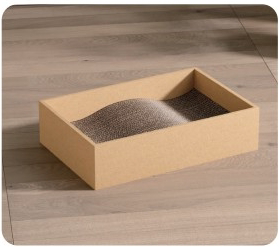 Cat Sand Bowl 004